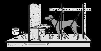 Klasické podmiňování (Pavlov) Klasické podmiňování Organismus se učí, ţe dvě události jdou za sebou nezávisle na aktivitě jedince Zvukový signál, sliny Nepodmíněný stimul,