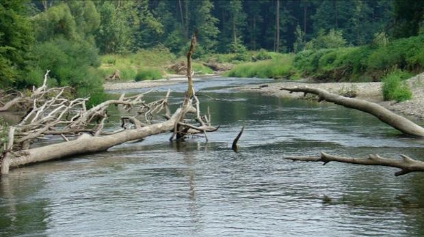 Úvod Dřevní hmota (LWD) je přirozenou a funkčně významnou součástí říčních koryt. Pohyblivost dřevní hmoty při povodních je zdrojem rizika (ohrožení staveb, vznik vzdutí).