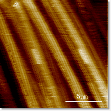 modifikované nanočástice 5 nm FeO nanutrubičky nanokompozity