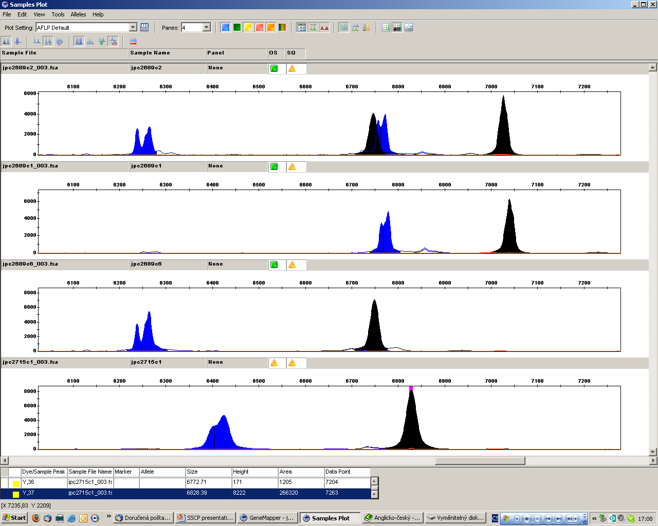 MHC Class II (DQA gene) house mice Jedinec s genotypem 1/2 Klon obsahující alelu 1 Klon