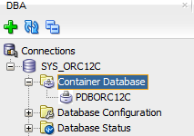 Pokud nyní uživatel rozklikne připojení SYS_ORC12C v DBA navigátoru a dále vybere například položku Container Database tak se mu zobrazí všechny momentálně připojené zásuvné databáze a lze s nimi