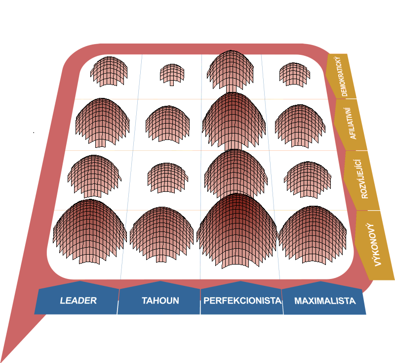 MAPA PREFERENCE KOMBINOVANÝCH MANAŽERSKÝCH STYLŮ Kombinací čtyř základních