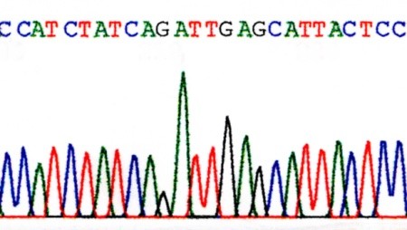 DNA analýza 49 50 47 60