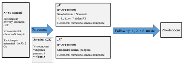 DOPLŇKOVÁ PARENTERÁLNÍ VÝŽIVA ONKOLOGICKÝCH PACIENTŮ PŘI