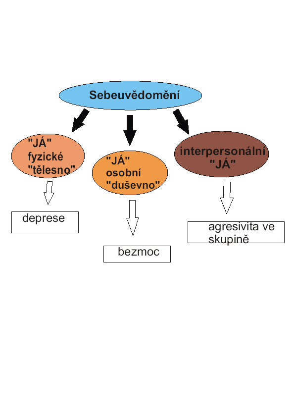 Interpersonální složka zahrnuje adaptaci pomocí identifikace ve skupině, vychází z cílů, hodnot, sociálních podmínek a kultury. Schéma č. Systém sebepojetí ( vypracováno autorkou práce ).7.