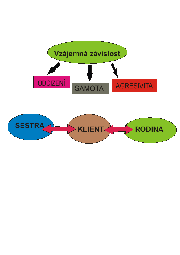 . Vnitřní struktura dané skupiny ( infrastruktura ) zdroje komunity. Lidé, kteří prostřednictvím svých vědomosti, zkušeností, postojů ovlivňují rozvoj kopingových strategií. Schéma č.