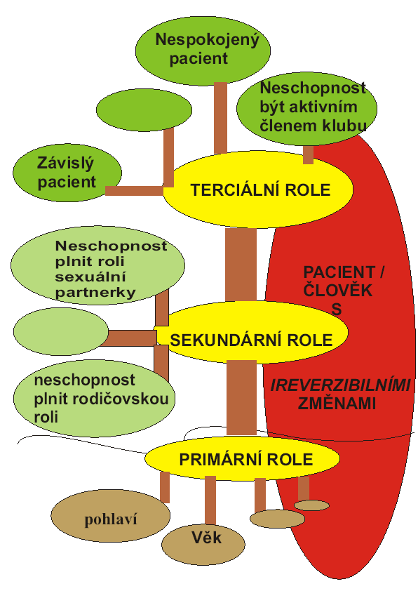 apod. U pacientů s ireverzibilní změnou však dochází k narušení tohoto rolového scénáře.