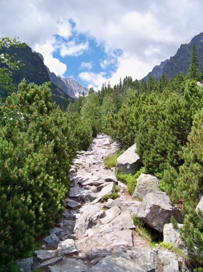 Ponuka pre školské výlety na rok 2011 / Vysoké Tatry Zamkovského chata, Malá Studená dolina Ponúkame Vám jedinečnú možnosť stráviť výlet alebo školu v prírode v srdci tatranskej prírody, priamo v