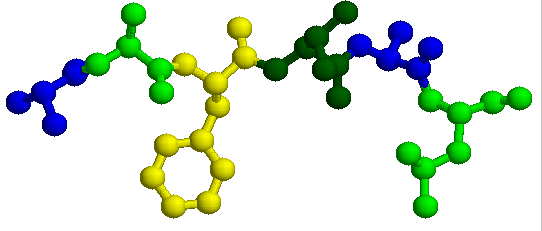 Molekuly proteinů mohou vytvářet dvě základní struktury: - Fibrilární Kolagen, keratin, fibroin.