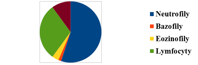 Eozinofily (2-5% leukocytov) bunky, ktoré v nezrelom stave putujú z kostnej drene do sleziny, kde sa úplne vyvinú.