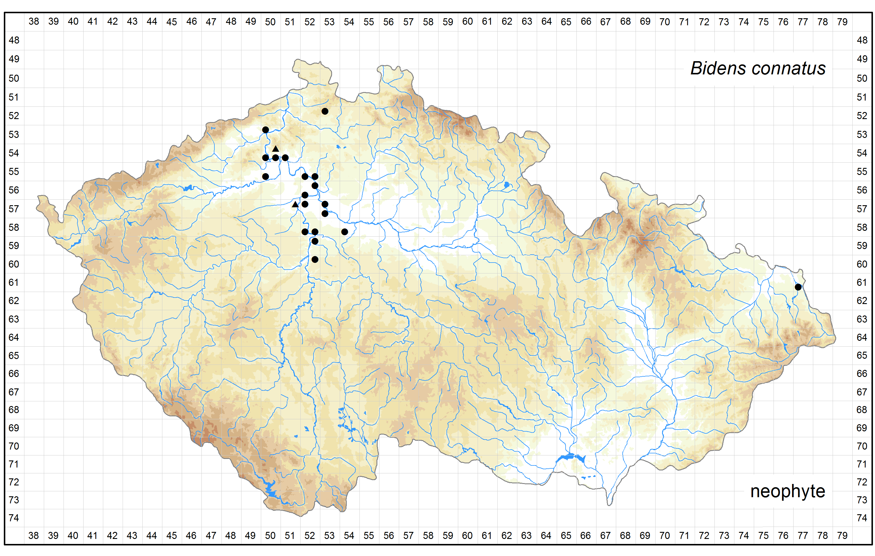 Distribution of Bidens connatus in the Czech Republic Author of the map: Jitka Štěpánková Map produced on: 12-05-2016 Database records used for producing the distribution map of Bidens connatus