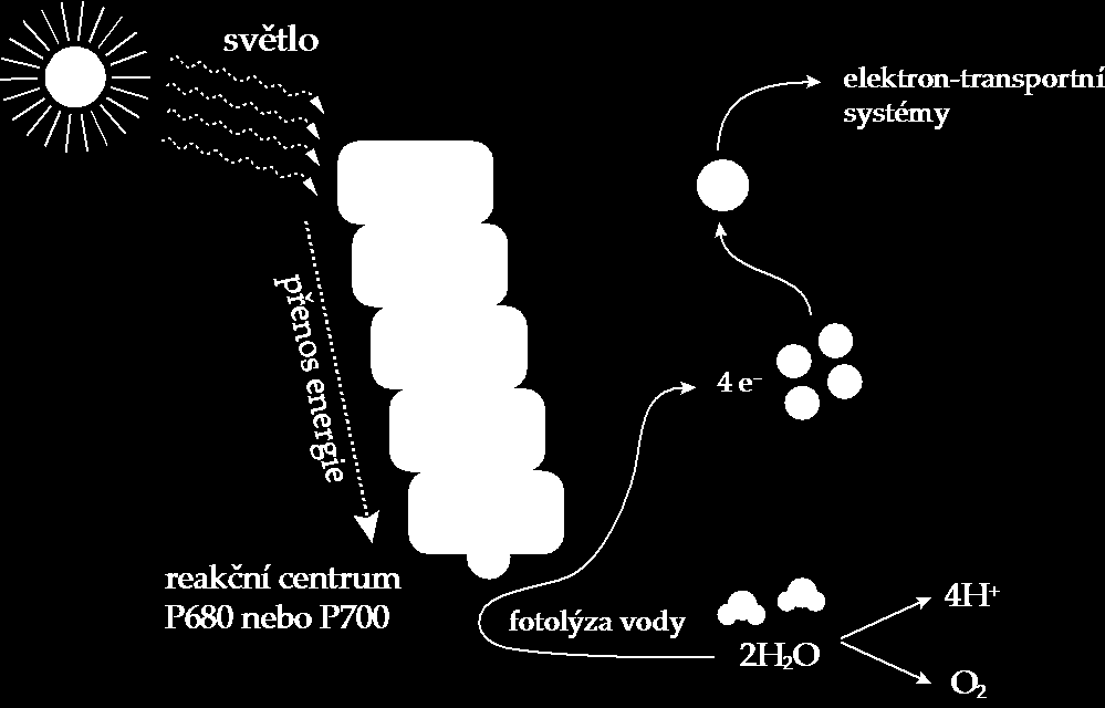 Pracovní návod 1/6 www.expoz.cz Chemie úloha č.