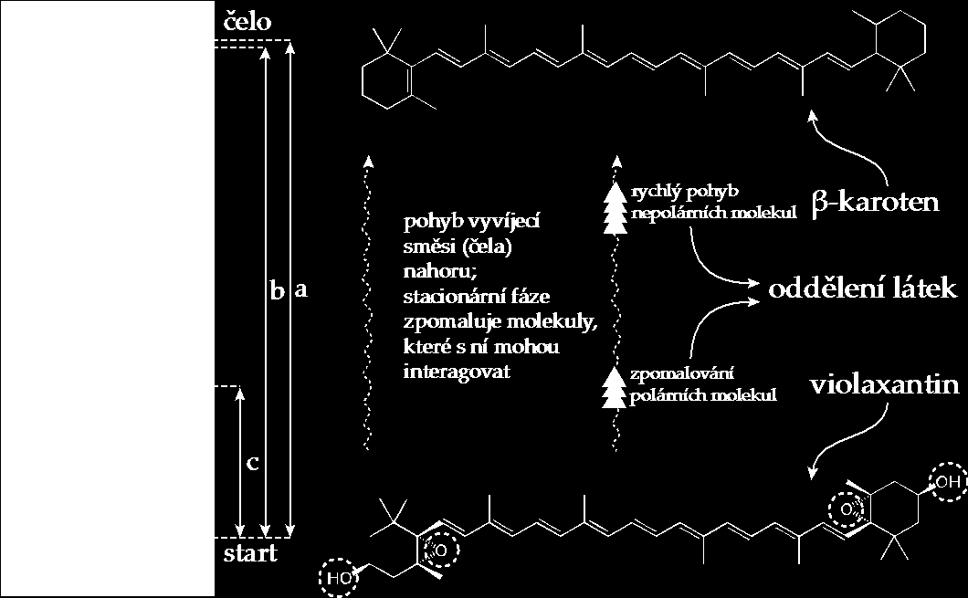 Pracovní návod 2/6 www.expoz.cz Rostliny obsahují celou řadu zajímavých chemických sloučenin. Jednou ze skupin těchto látek jsou rostlinná barviva.