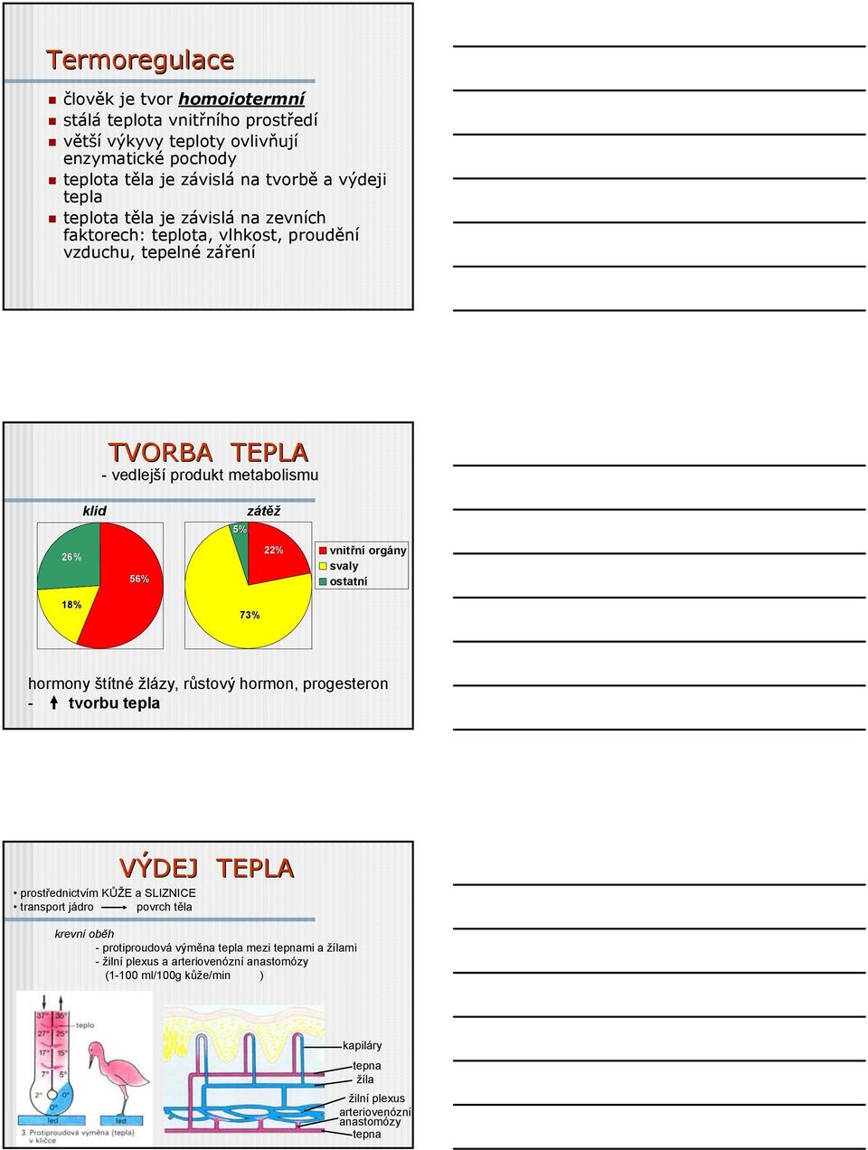 orgány svaly ostatní 18% 73% hormony štítné žlázy, růstový hormon, progesteron - tvorbu tepla prostřednictvím KŮŽE a SLIZNICE transport jádro povrch těla VÝDEJ TEPLA krevní oběh