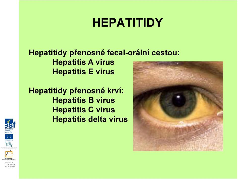 Hepatitis E virus Hepatitidy přenosné