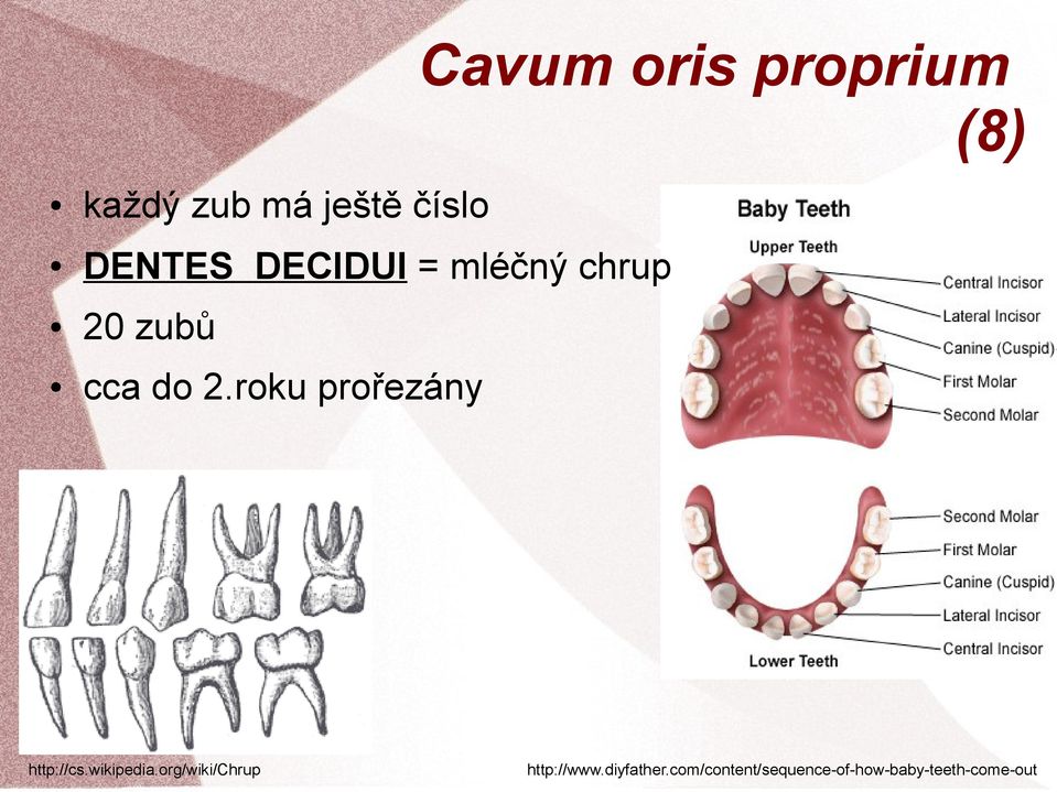 roku prořezány http://cs.wikipedia.