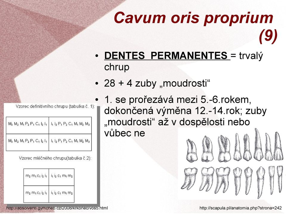 rok; zuby moudrosti až v dospělosti nebo vůbec ne http://absolventi.