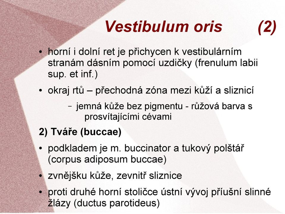 ) okraj rtů přechodná zóna mezi kůží a sliznicí jemná kůže bez pigmentu - růžová barva s prosvítajícími