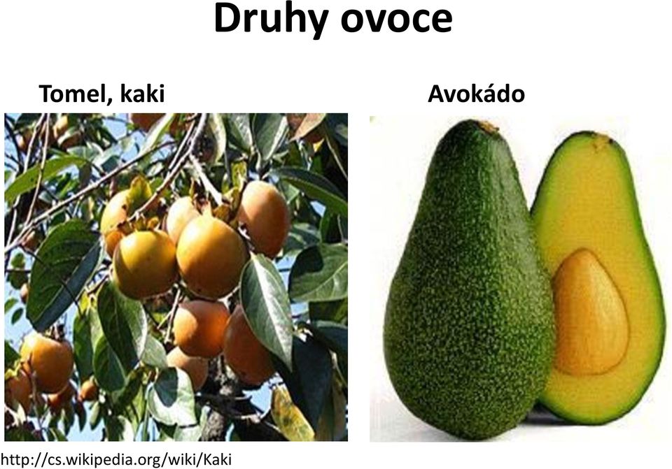 Avokádo