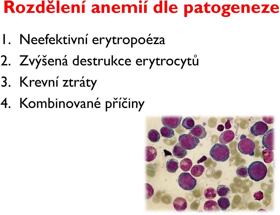 Zvýšená destrukce erytrocytů 3.