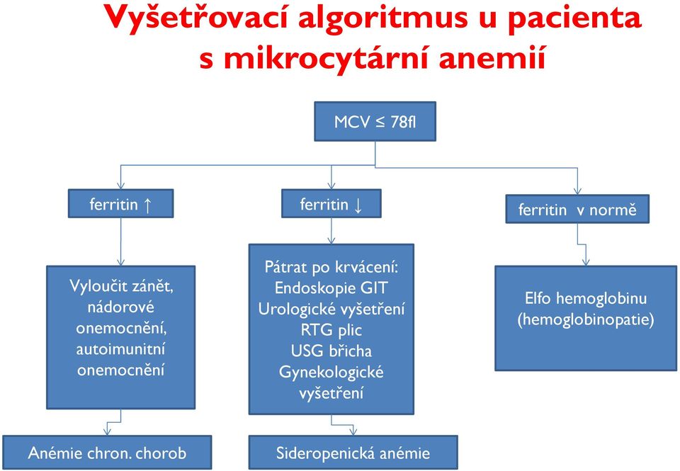 po krvácení: Endoskopie GIT Urologické vyšetření RTG plic USG břicha Gynekologické