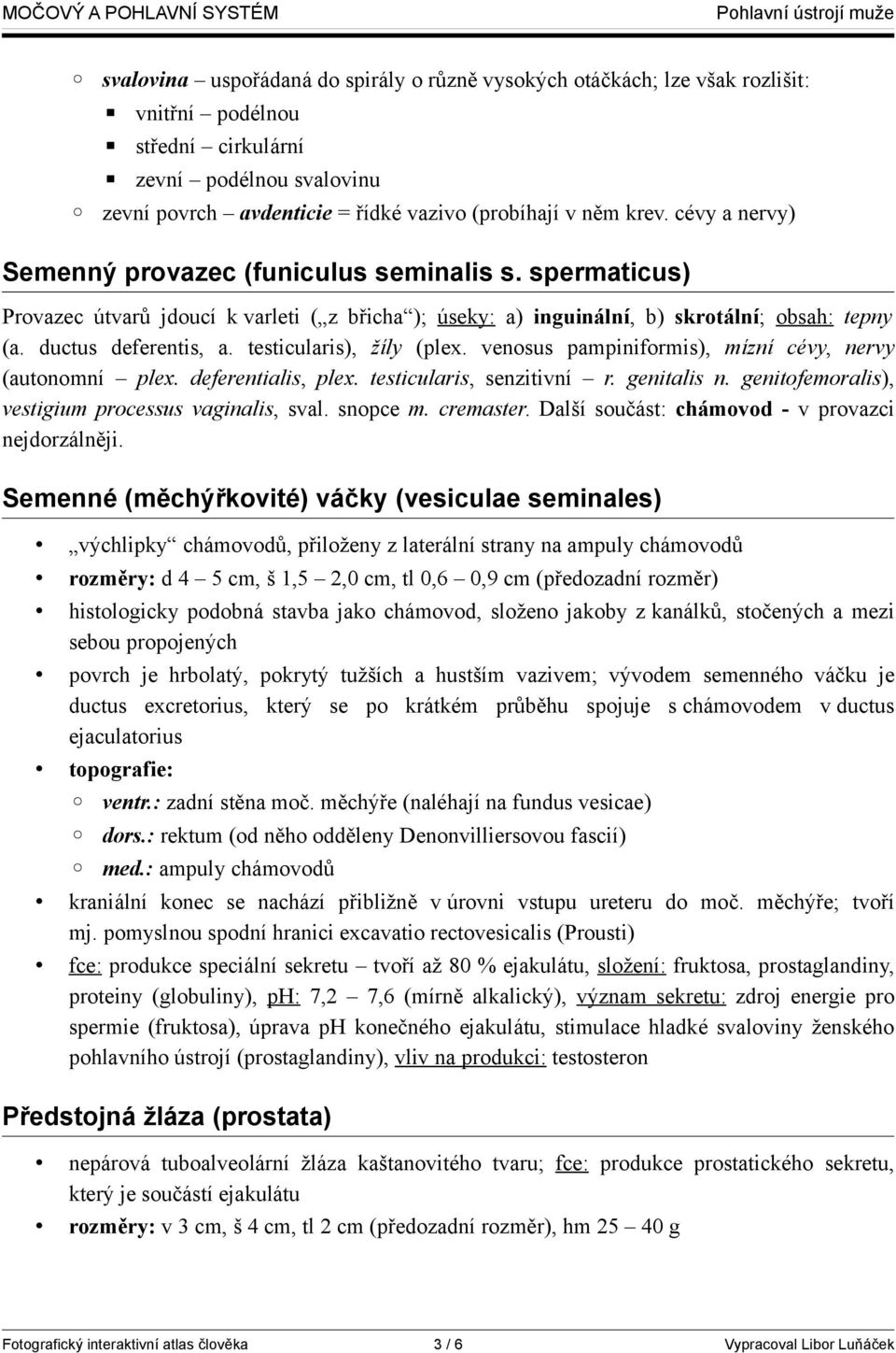 testicularis), žíly (plex. venosus pampiniformis), mízní cévy, nervy (autonomní plex. deferentialis, plex. testicularis, senzitivní r. genitalis n.