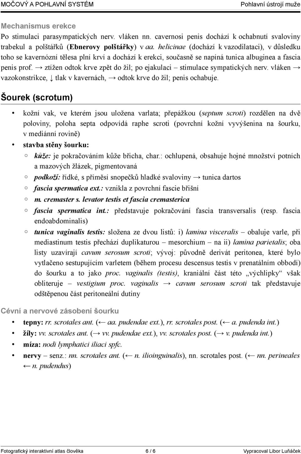 ztížen odtok krve zpět do žil; po ejakulaci stimulace sympatických nerv. vláken vazokonstrikce, tlak v kavernách, odtok krve do žil; penis ochabuje.