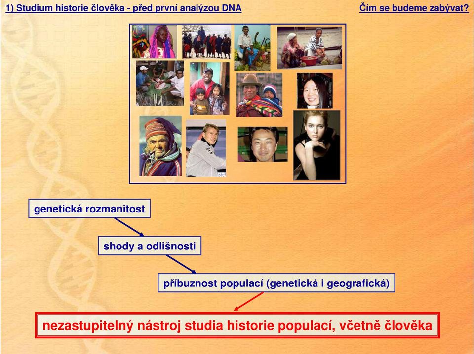 příbuznost populací (genetická i geografická)