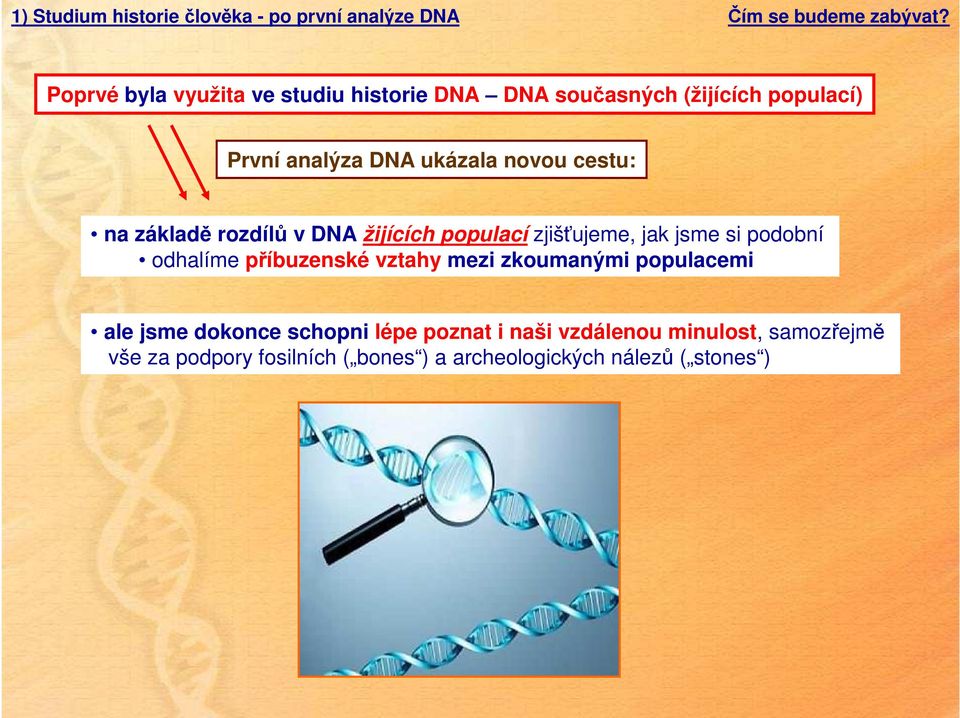 zjišťujeme, jak jsme si podobní odhalíme příbuzenské vztahy mezi zkoumanými populacemi ale jsme dokonce