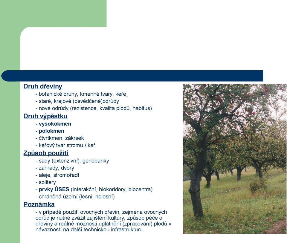 solitery - prvky ÚSES (interakční, biokoridory, biocentra) - chráněná území (lesní, nelesní) Poznámka - v případě použití ovocných dřevin, zejména ovocných