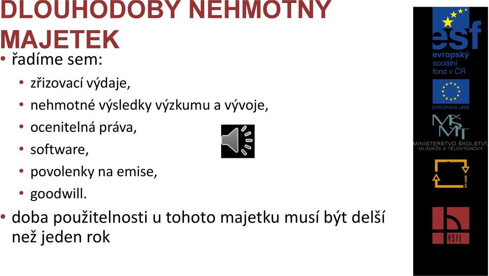 ocenitelná práva, software, povolenky na emise,