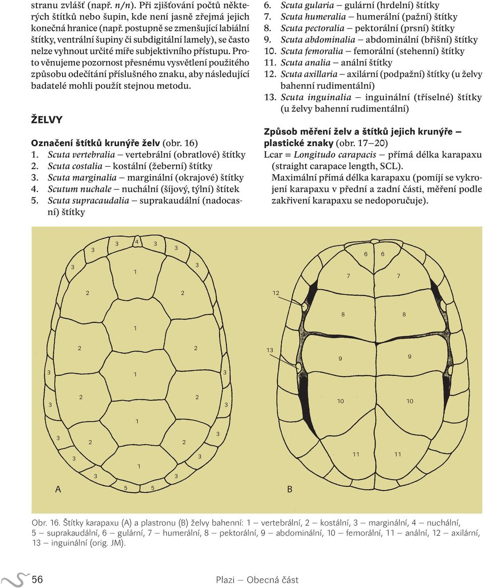 Proto věnujeme pozornost přesnému vysvětlení použitého způsobu odečítání příslušného znaku, aby následující badatelé mohli použít stejnou metodu. ŽELVY Označení štítků krunýře želv (obr. 16) 1.
