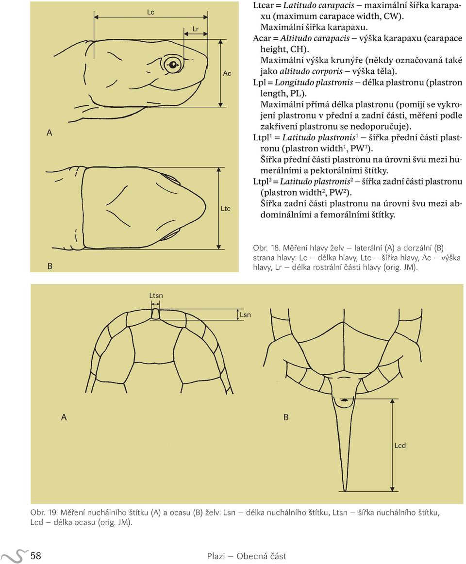 Maximální přímá délka plastronu (pomíjí se vykrojení plastronu v přední a zadní části, měření podle zakřivení plastronu se nedoporučuje).