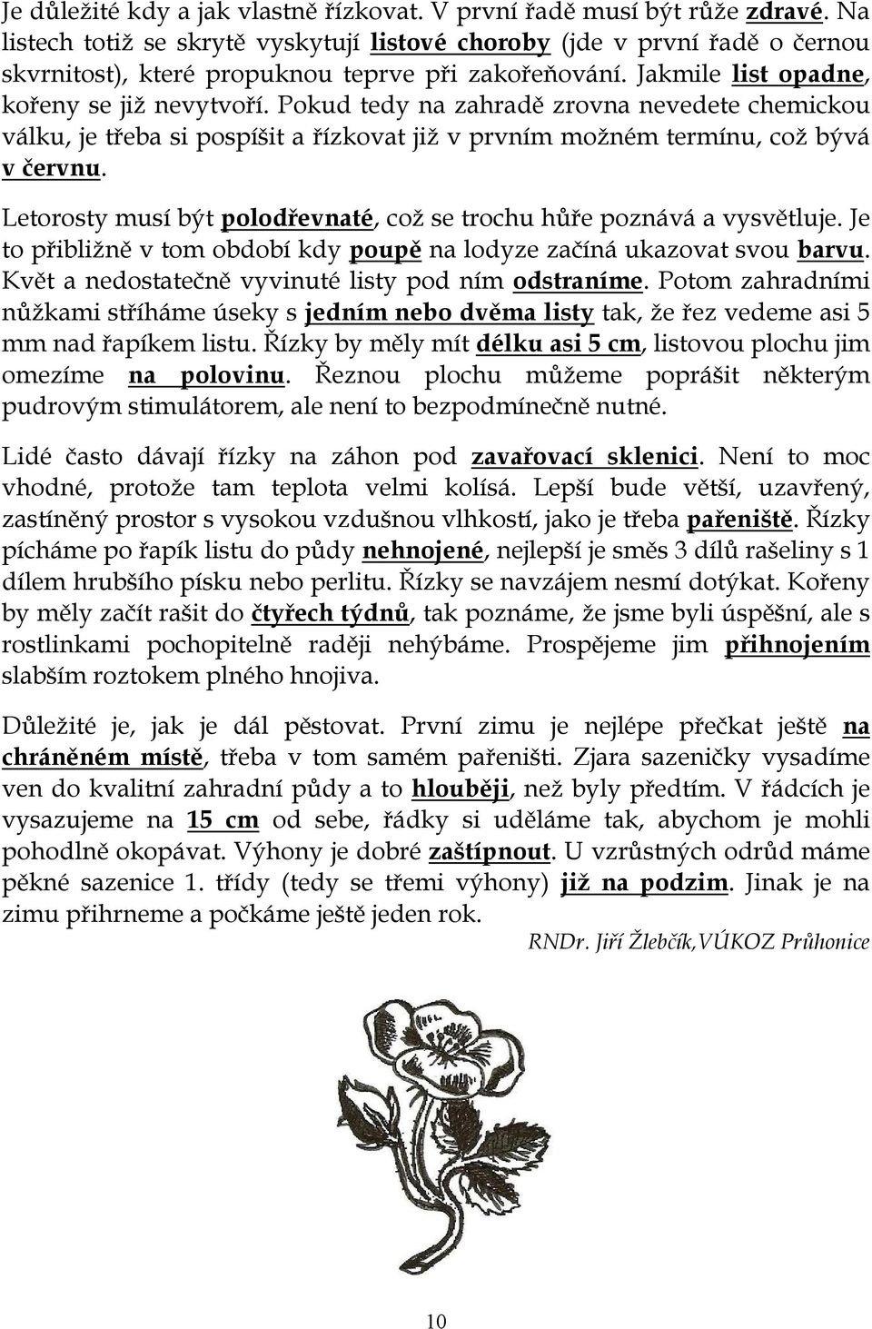 Pokud tedy na zahradě zrovna nevedete chemickou válku, je třeba si pospíšit a řízkovat již v prvním možném termínu, což bývá v červnu.