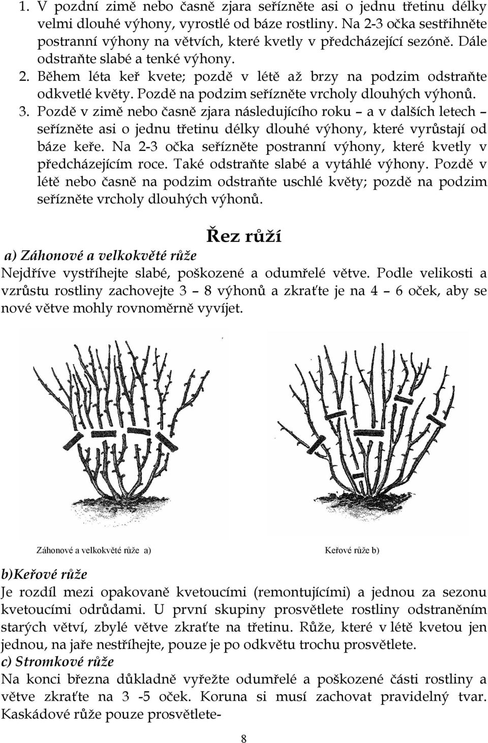 Pozdě na podzim seřízněte vrcholy dlouhých výhonů. 3.