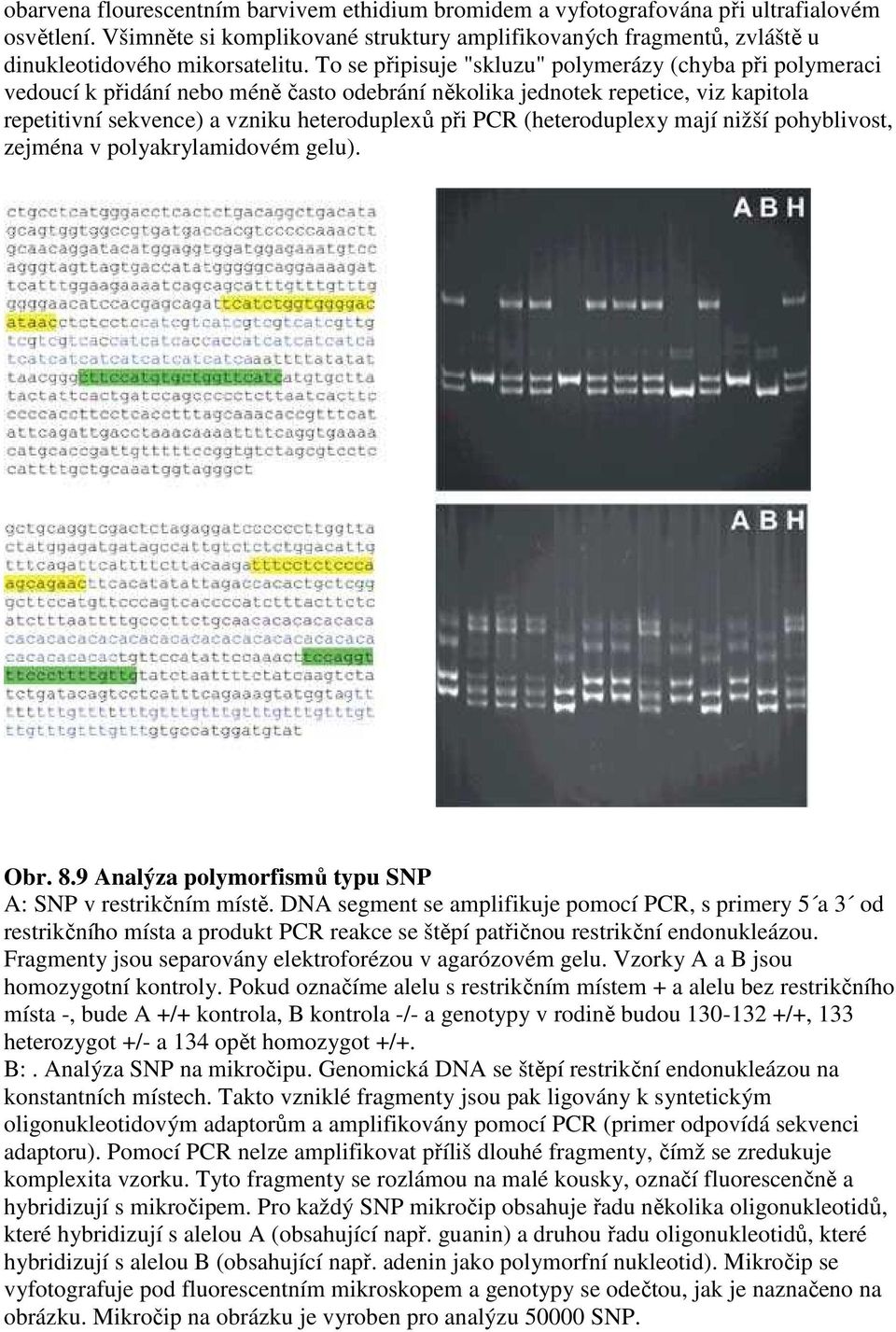 To se připisuje "skluzu" polymerázy (chyba při polymeraci vedoucí k přidání nebo méně často odebrání několika jednotek repetice, viz kapitola repetitivní sekvence) a vzniku heteroduplexů při PCR