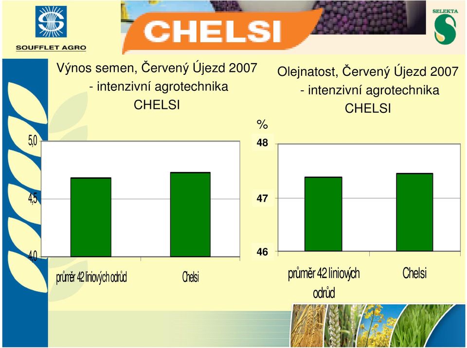 2007 - intenzivní agrotechnika CHELSI 4,5 4,5 47 4,0