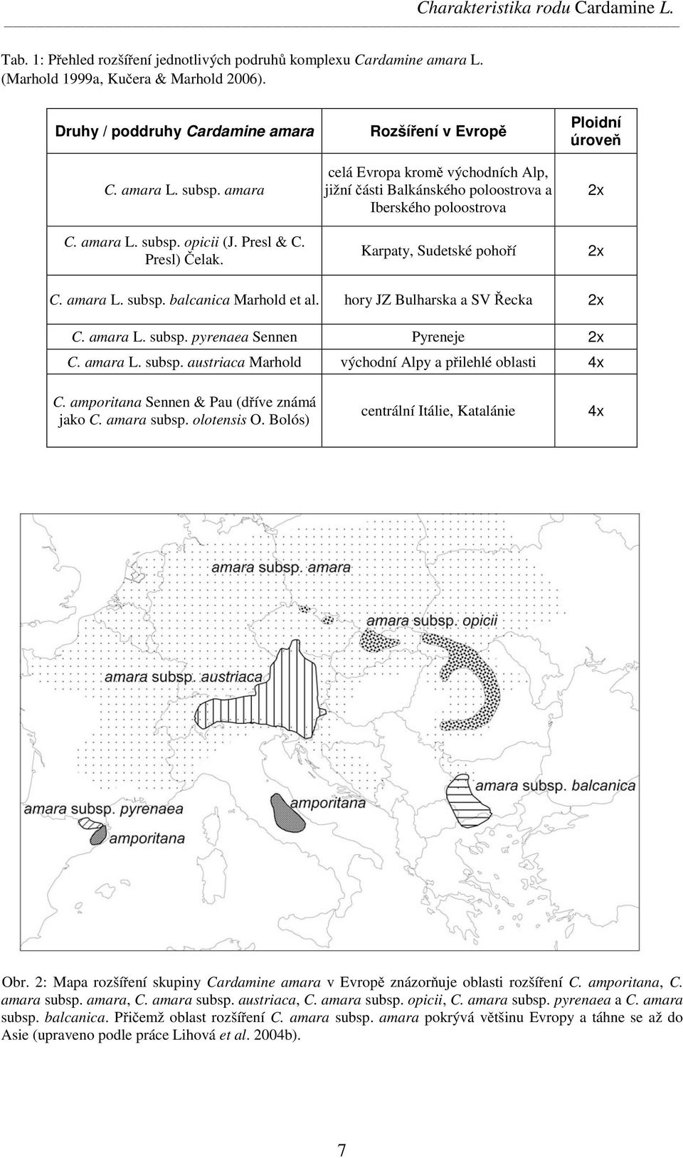 Rozšíření v Evropě celá Evropa kromě východních Alp, jižní části Balkánského poloostrova a Iberského poloostrova Karpaty, Sudetské pohoří Ploidní úroveň 2x 2x C. amara L. subsp.