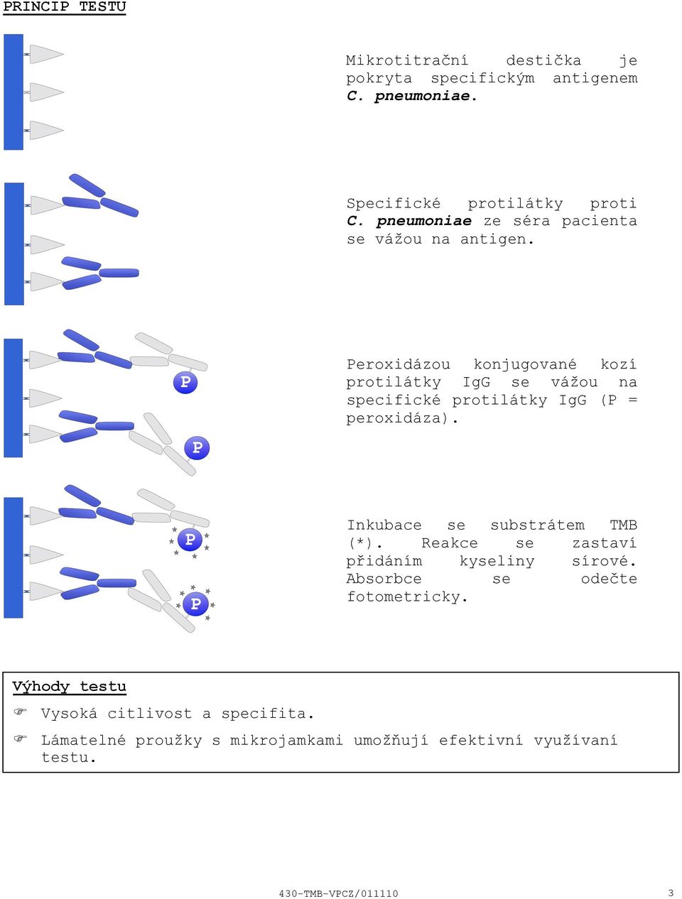 Peroxidázou konjugované kozí protilátky IgG se vážou na specifické protilátky IgG (P = peroxidáza).