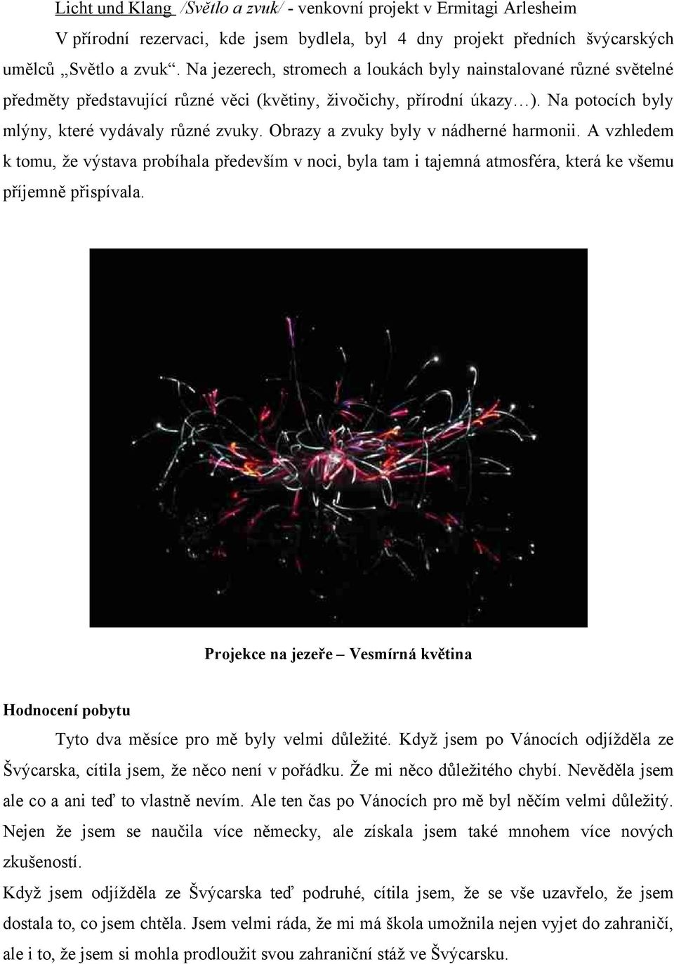 Obrazy a zvuky byly v nádherné harmonii. A vzhledem k tomu, že výstava probíhala především v noci, byla tam i tajemná atmosféra, která ke všemu příjemně přispívala.