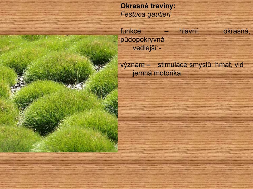 vedlejší:- hlavní: okrasná,