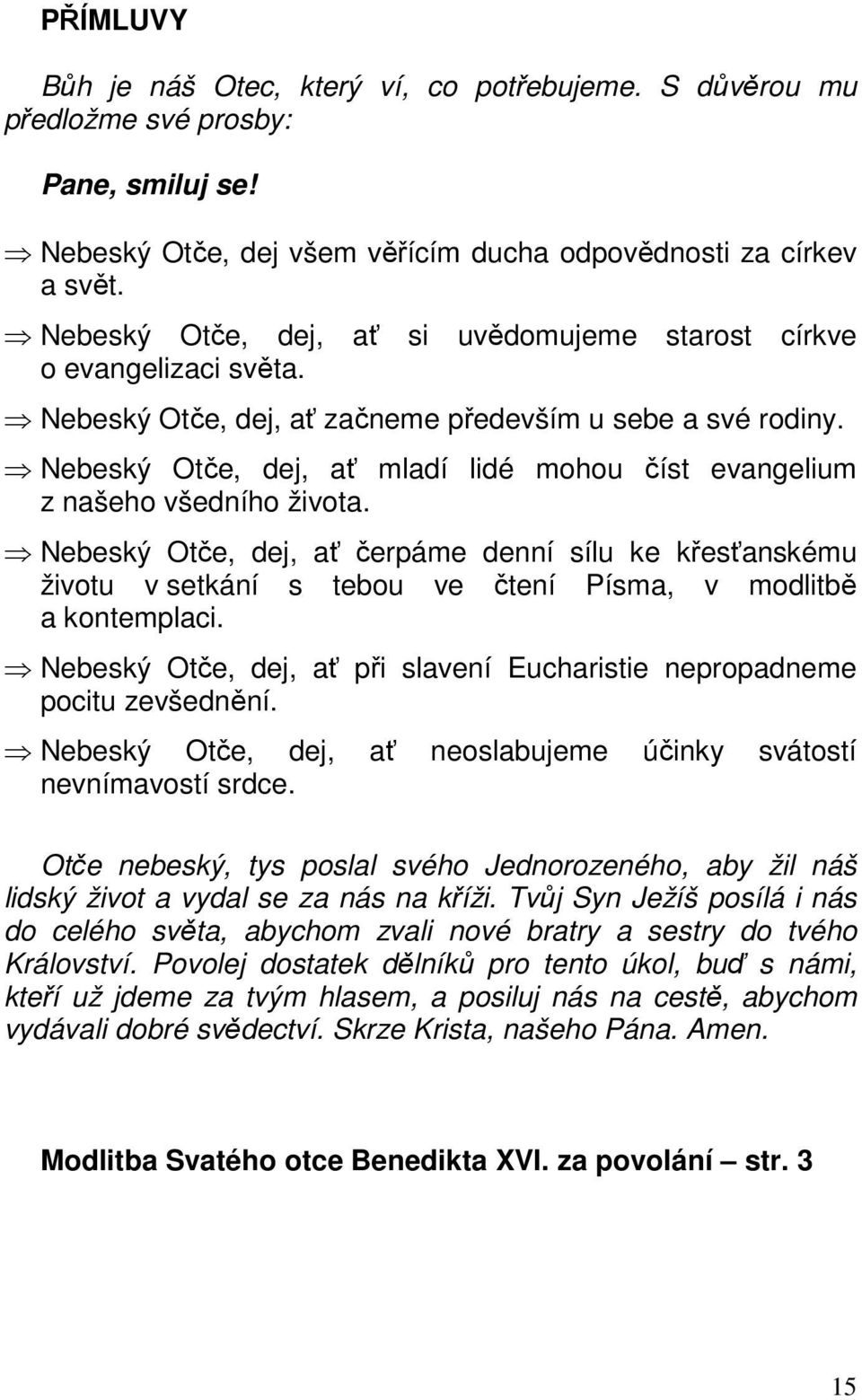 Nebeský Otče, dej, ať mladí lidé mohou číst evangelium z našeho všedního života.