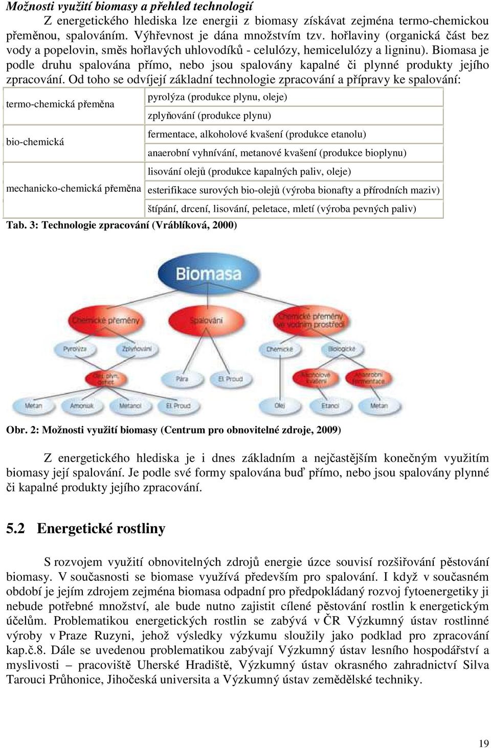 Biomasa je podle druhu spalována přímo, nebo jsou spalovány kapalné či plynné produkty jejího zpracování.