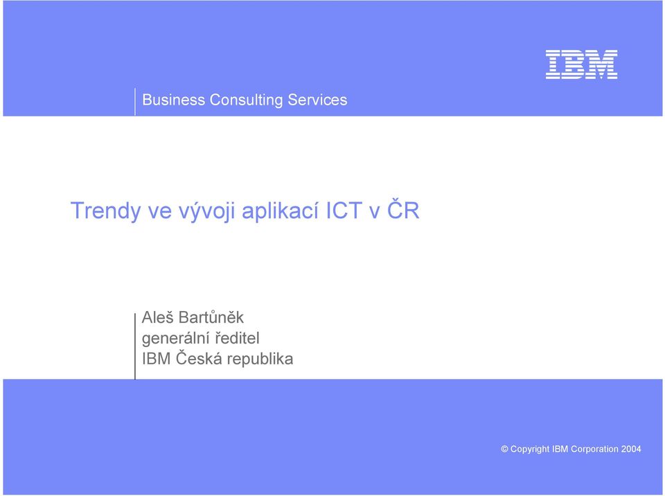 ředitel IBM Česká republika