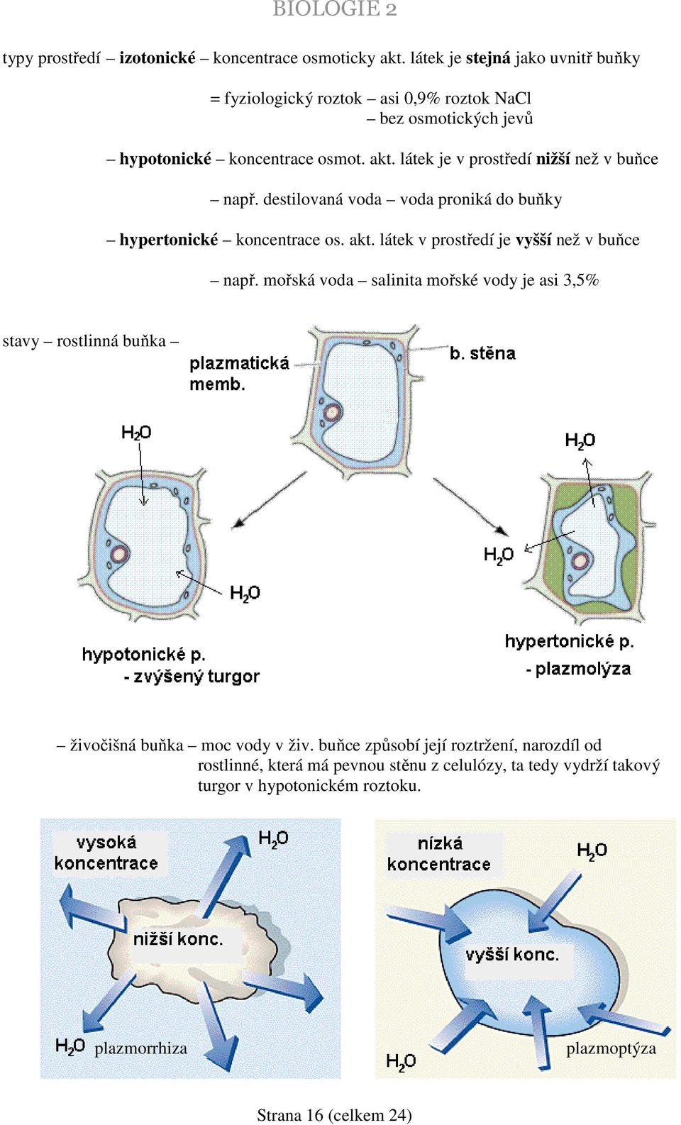 látek je v prostředí nižší než v buňce např. destilovaná voda voda proniká do buňky hypertonické koncentrace os. akt.