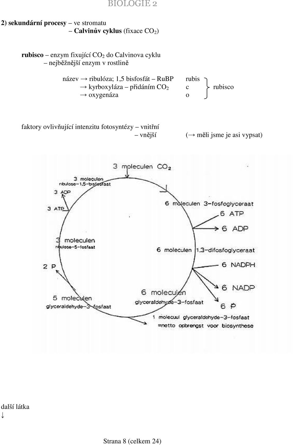 bisfosfát RuBP rubis kyrboxyláza přidáním CO 2 c rubisco oxygenáza o faktory