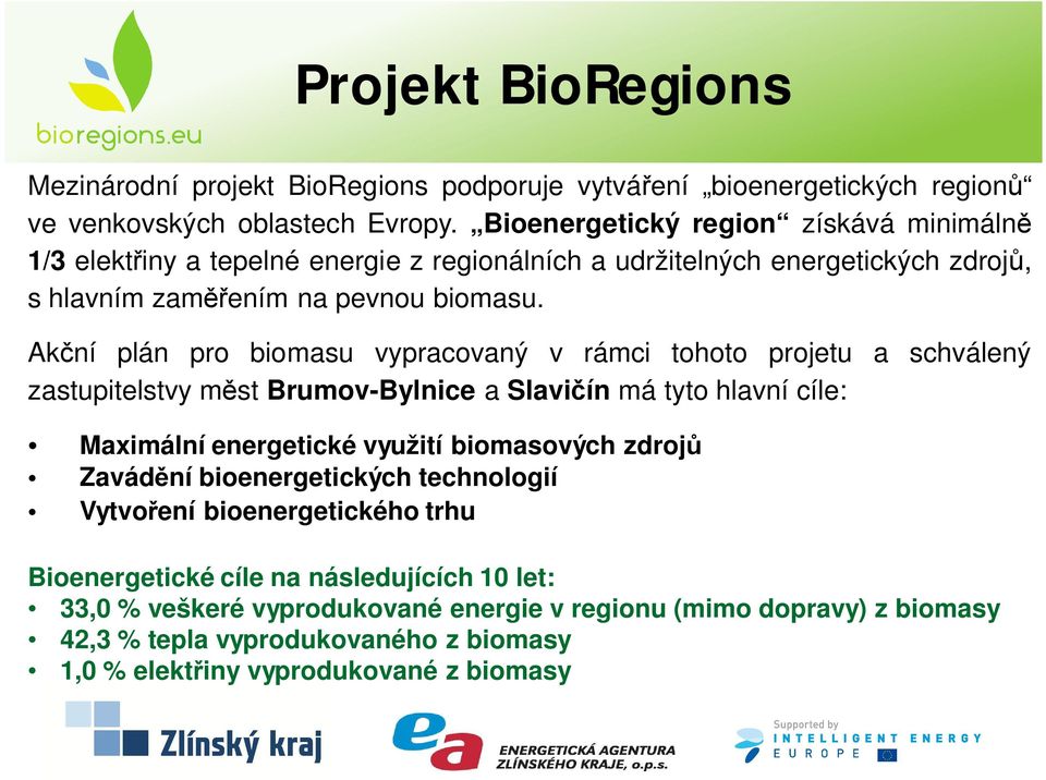 Ak ní plán pro biomasu vypracovaný v rámci tohoto projetu a schválený zastupitelstvy m st Brumov-Bylnice a Slavi ín má tyto hlavní cíle: Maximální energetické využití biomasových zdroj