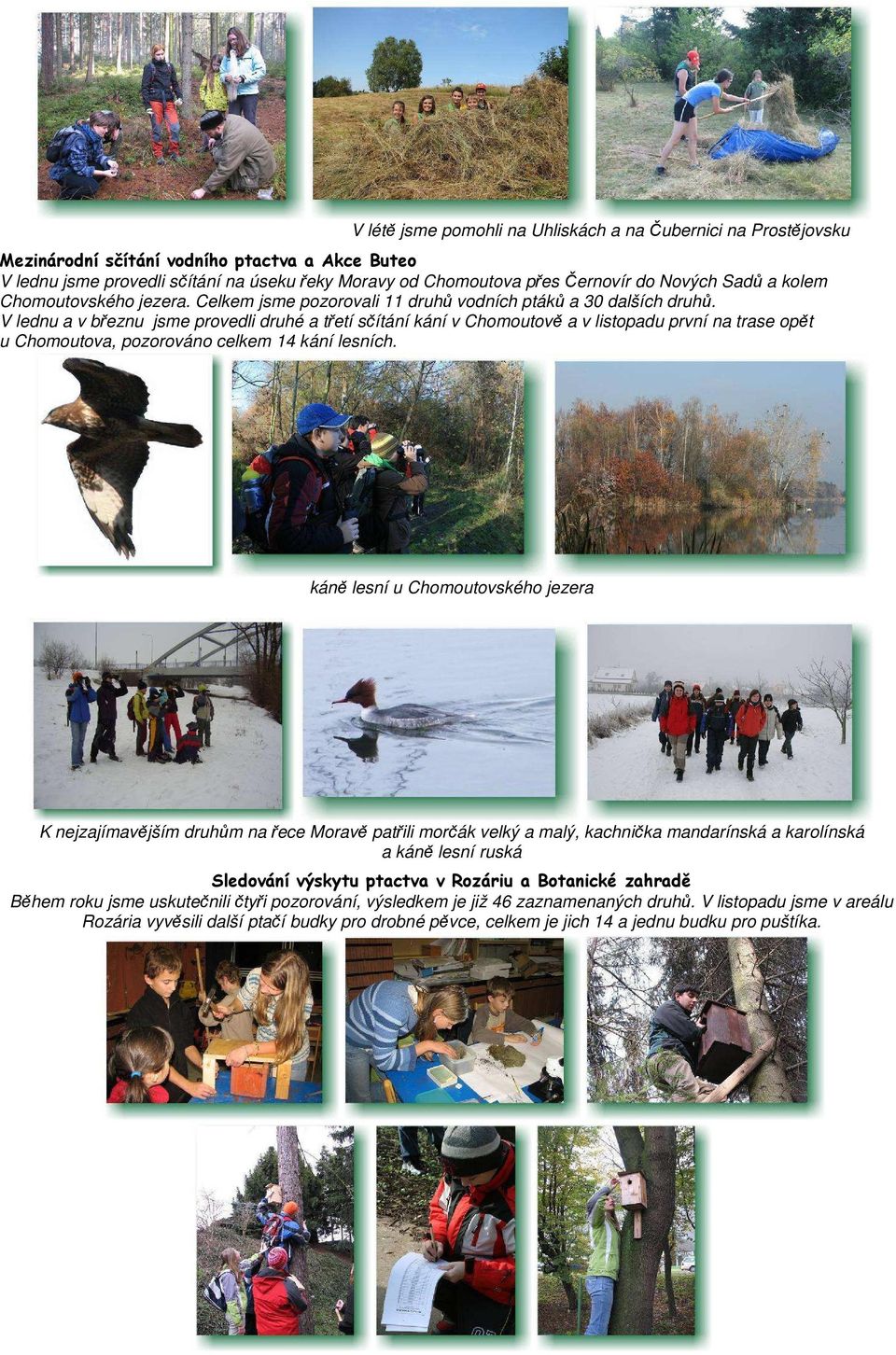 V lednu a v březnu jsme provedli druhé a třetí sčítání kání v Chomoutově a v listopadu první na trase opět u Chomoutova, pozorováno celkem 14 kání lesních.