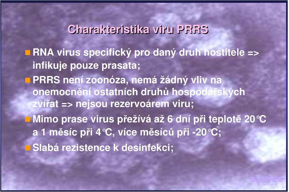 hospodářských zvířat => nejsou rezervoárem viru; Mimo prase virus přežívá až 6 dní