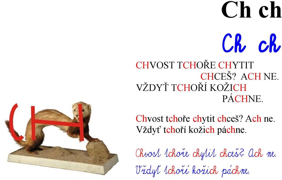 Chvost tchoře chytit chceš? Ach ne.